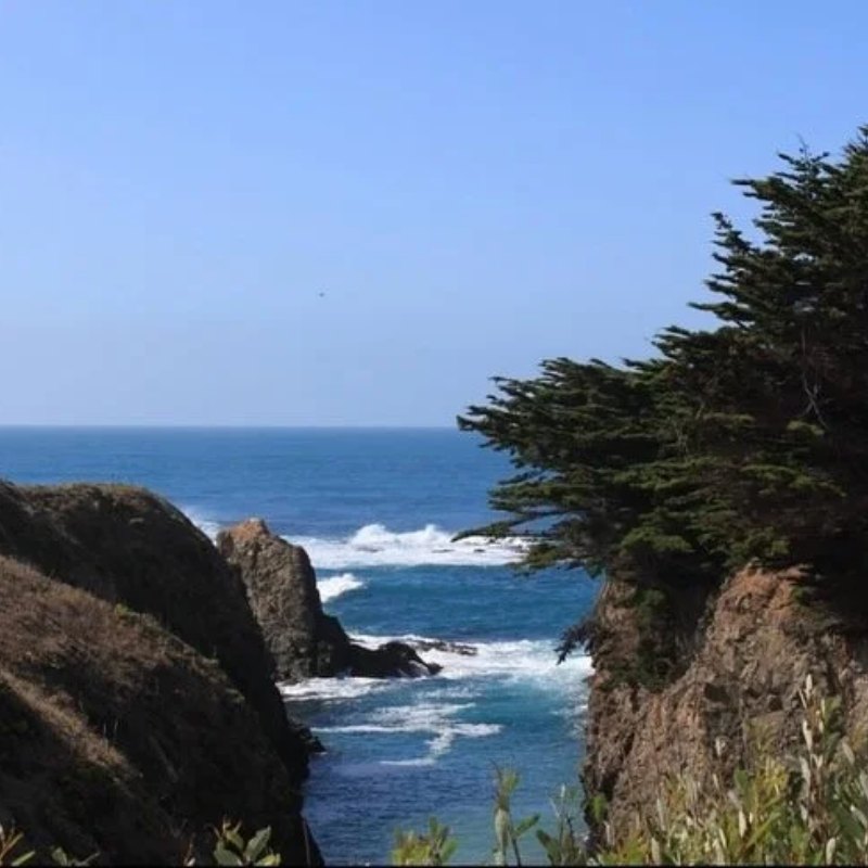 Rocky coastline with cypress trees and blue ocean