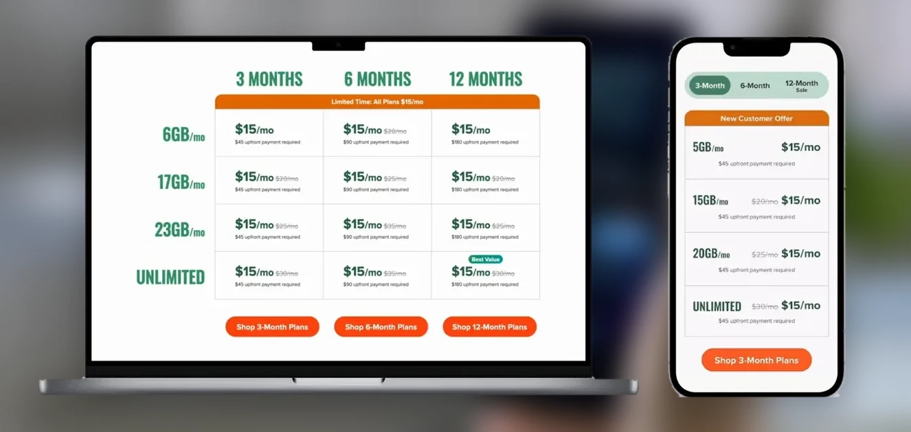 Final iterations: desktop grid and mobile tabs for the plans page
